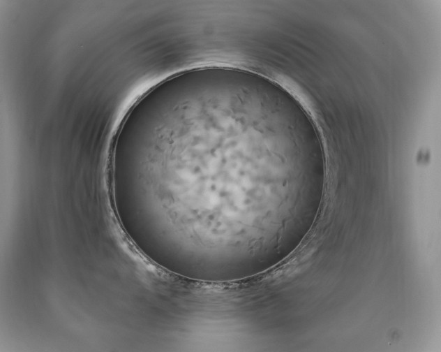 X0000090771104200707201433