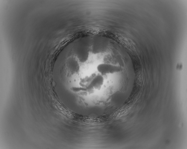 X0000090771105200707201433