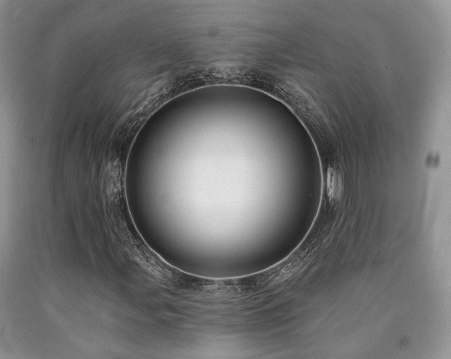 X0000090771107200707201433