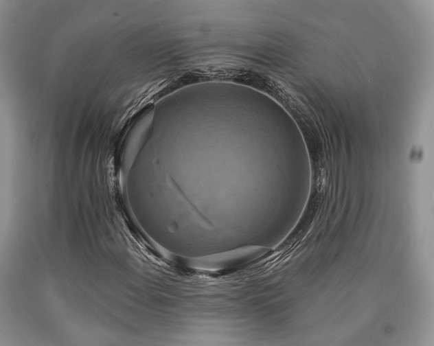 X0000090771108200707201433