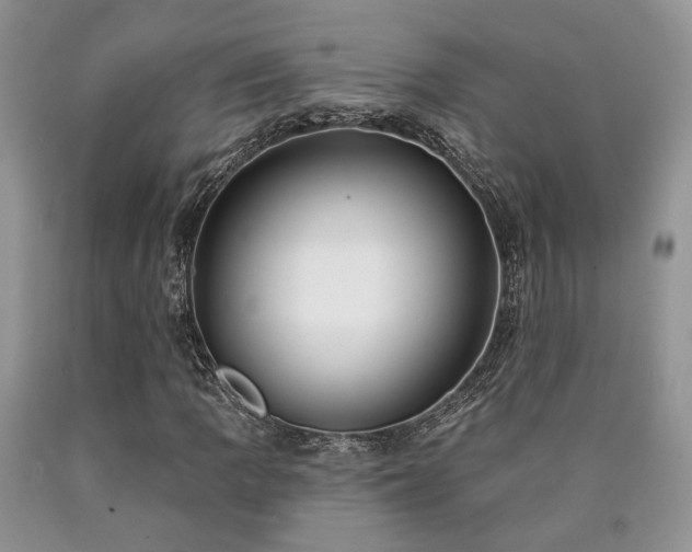 X0000090771109200707201433