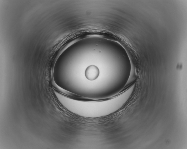 X0000090771110200707201433