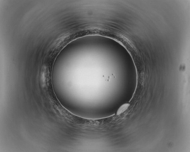 X0000090771111200707201433