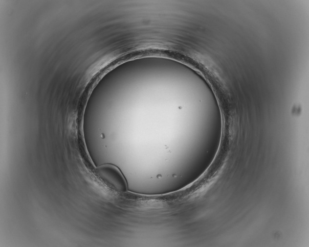 X0000090771113200707201433
