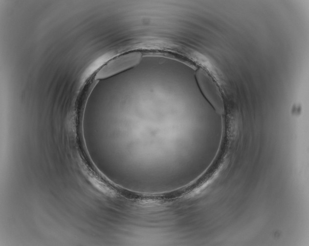 X0000090771114200707201433