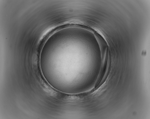 X0000090771115200707201433