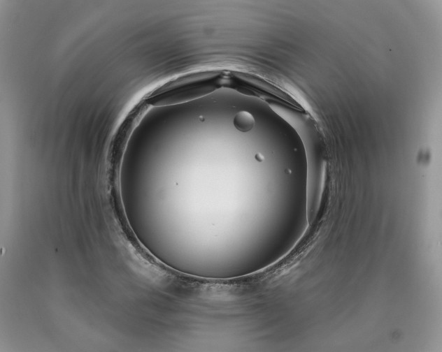 X0000090771116200707201433