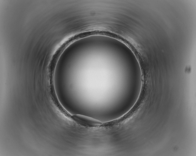 X0000090771118200707201433