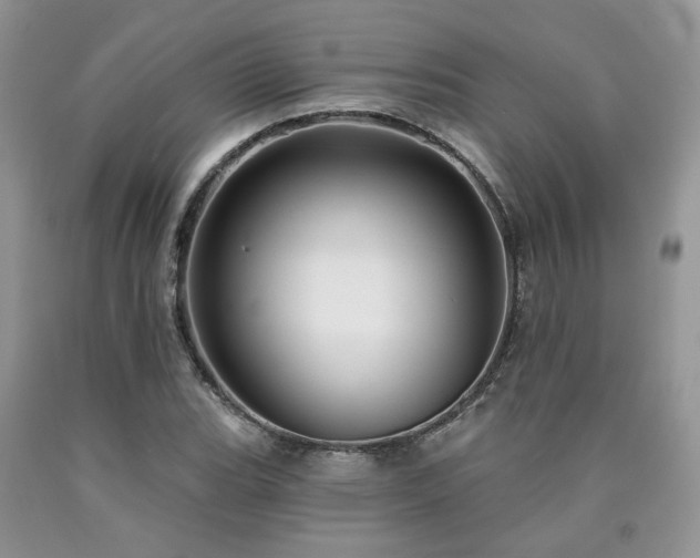 X0000090771119200707201433