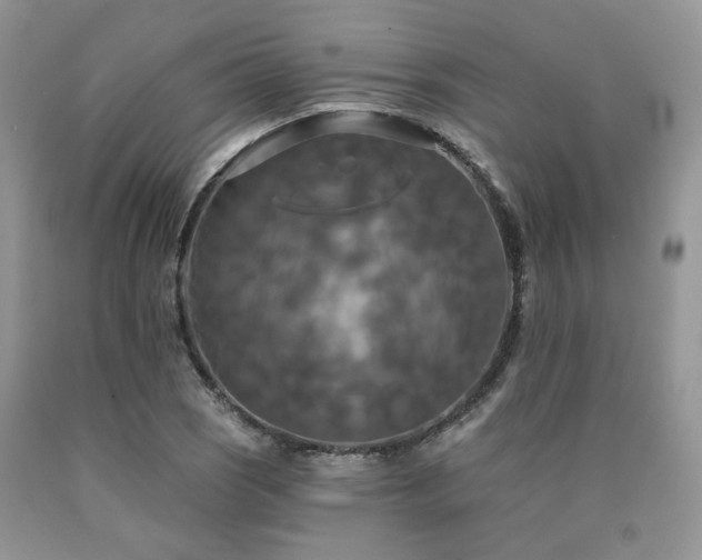 X0000090771121200707201433