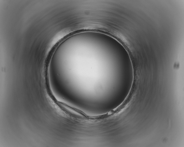 X0000090771122200707201433