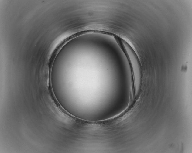 X0000090771123200707201433