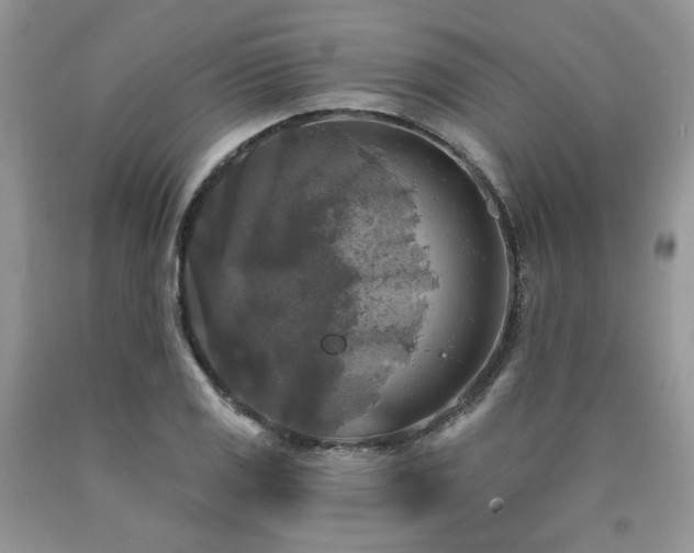 X0000090771125200707201433