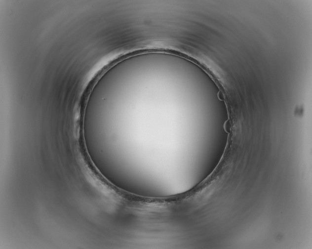 X0000090771126200707201433