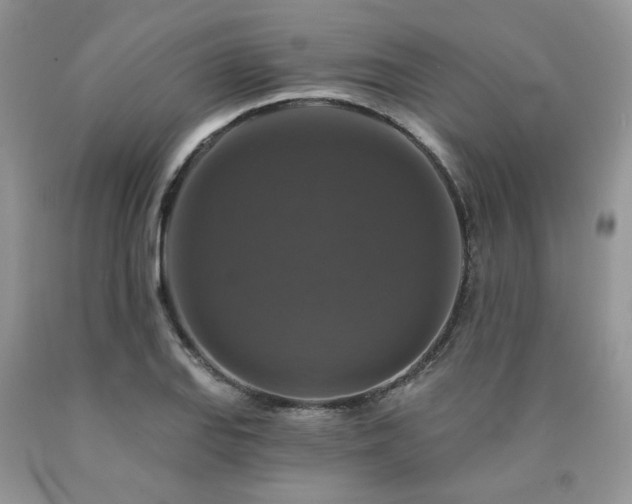 X0000090771127200707201433