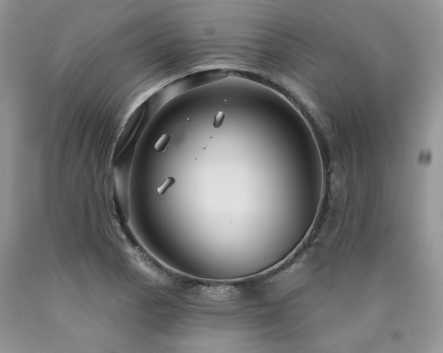 X0000090771129200707201433