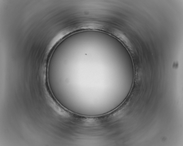 X0000090771130200707201433