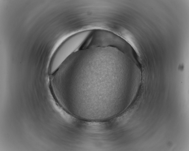 X0000090771132200707201433