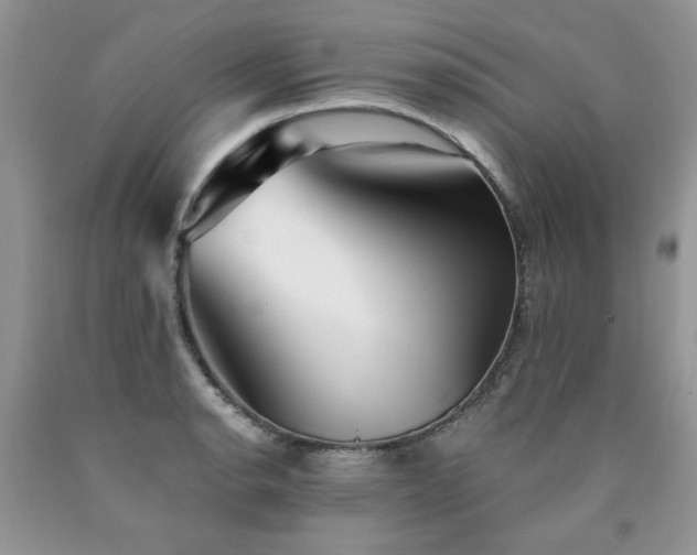 X0000090771134200707201433