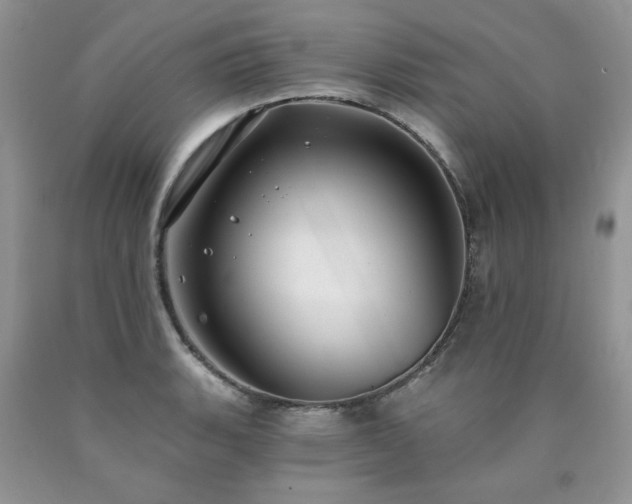 X0000090771135200707201433