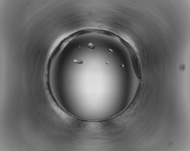 X0000090771136200707201433
