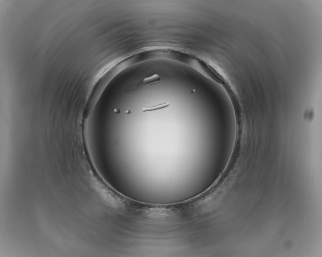 X0000090771137200707201433