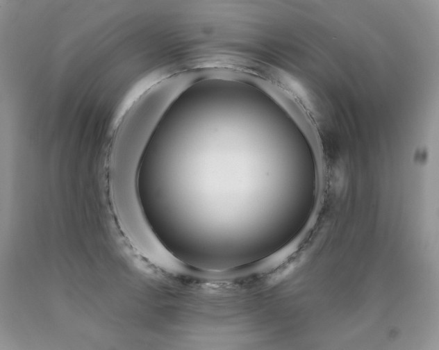 X0000090771138200707201433