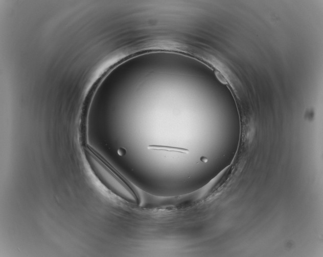 X0000090771139200707201433
