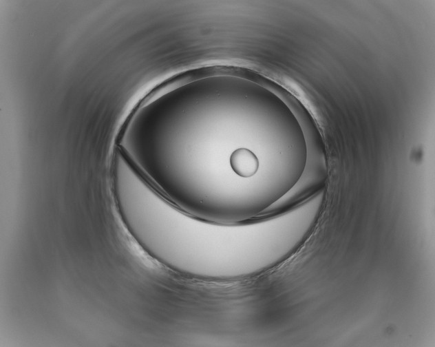 X0000090771140200707201433