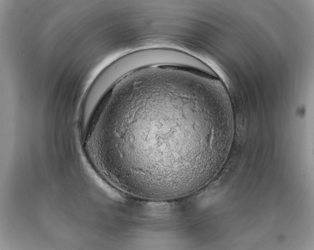 X0000090771142200707201433
