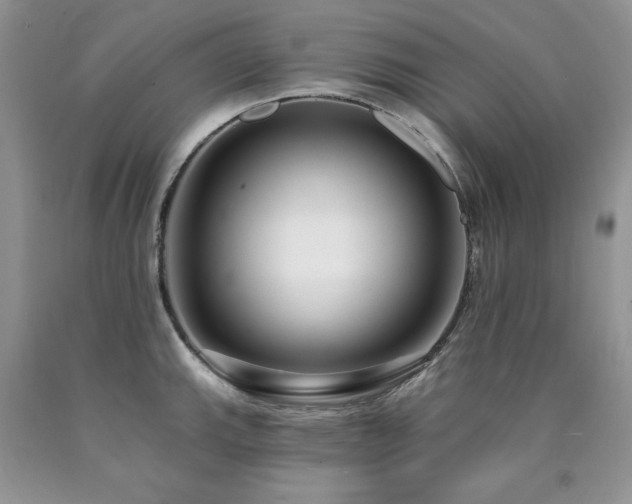 X0000090771143200707201433