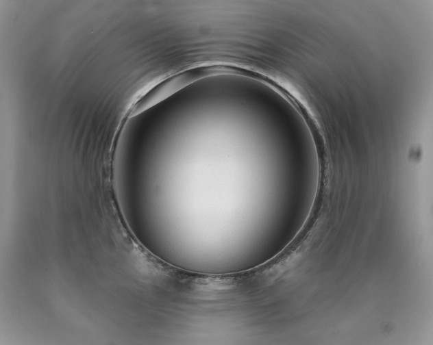 X0000090771145200707201433