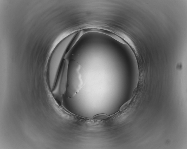 X0000090771146200707201433