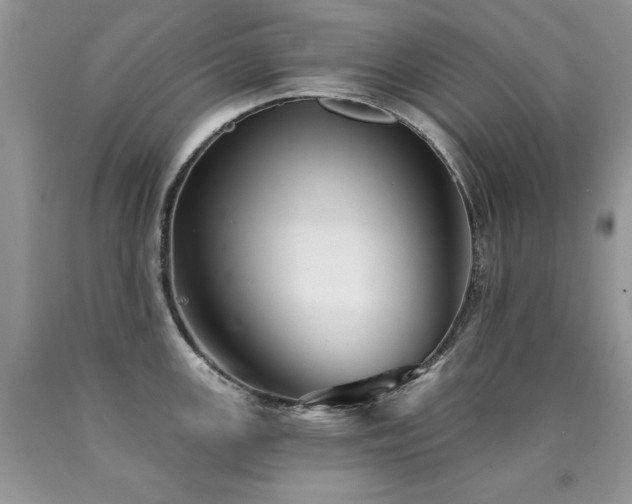 X0000090771147200707201433