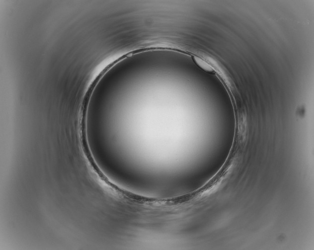 X0000090771149200707201433