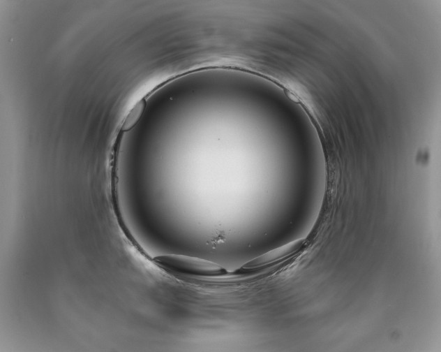X0000090771151200707201433