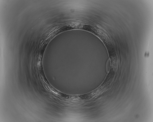 X0000090771154200707201433