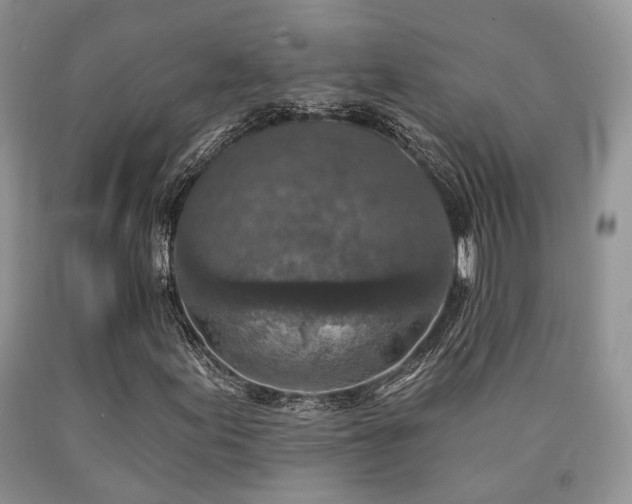 X0000090771155200707201433