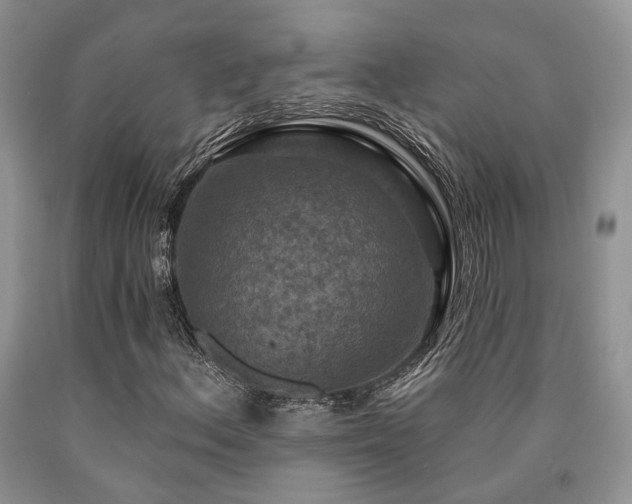 X0000090771156200707201433