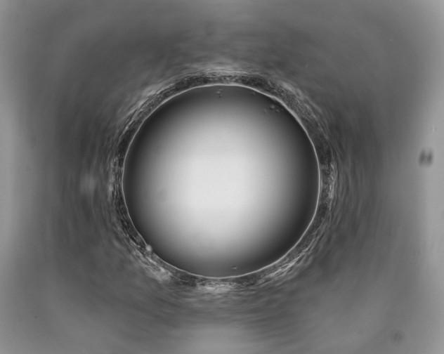 X0000090771157200707201433