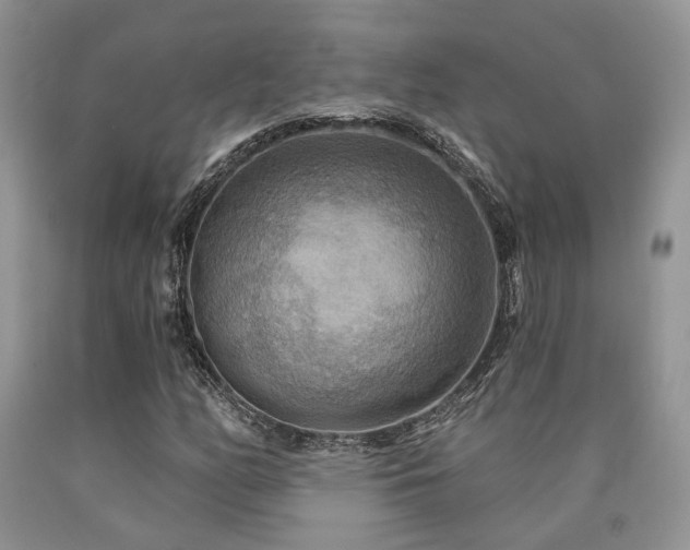 X0000090771158200707201433