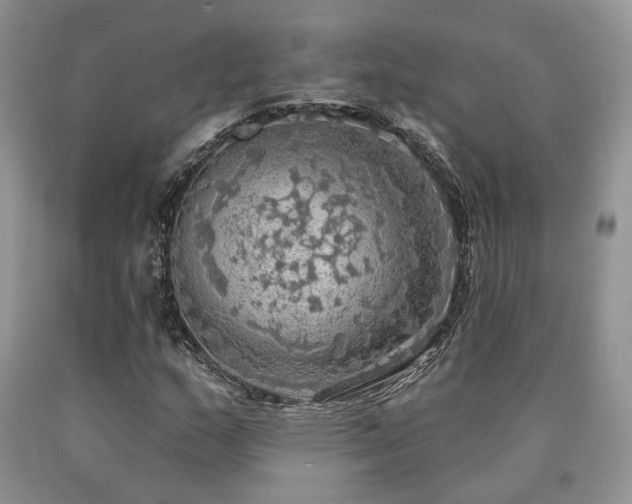 X0000090771159200707201433