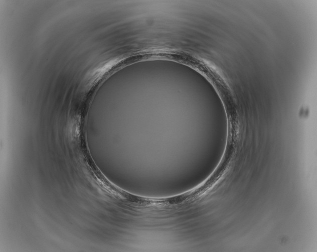 X0000090771161200707201433