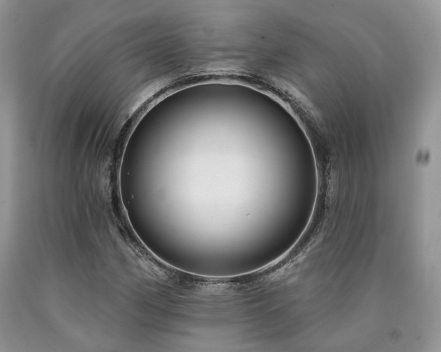 X0000090771162200707201433