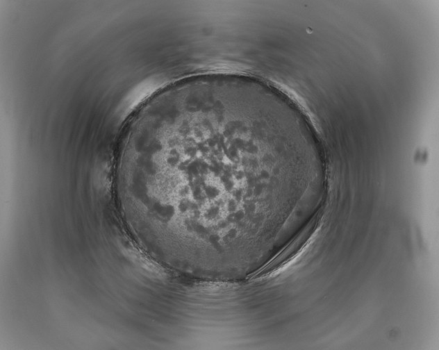 X0000090771163200707201433