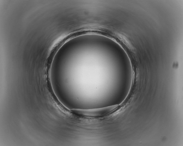 X0000090771164200707201433