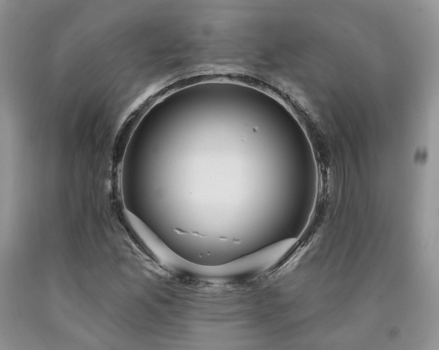 X0000090771165200707201433