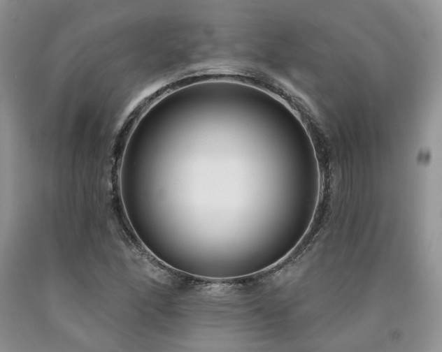 X0000090771166200707201432
