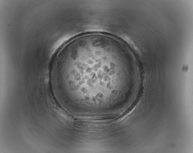 X0000090771167200707201432