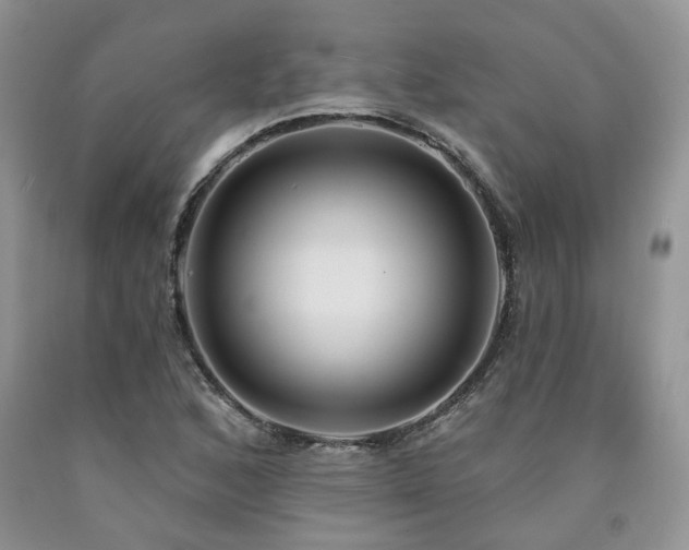 X0000090771168200707201432